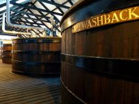 Fermentarea ca etapă în producerea  whisky-ului